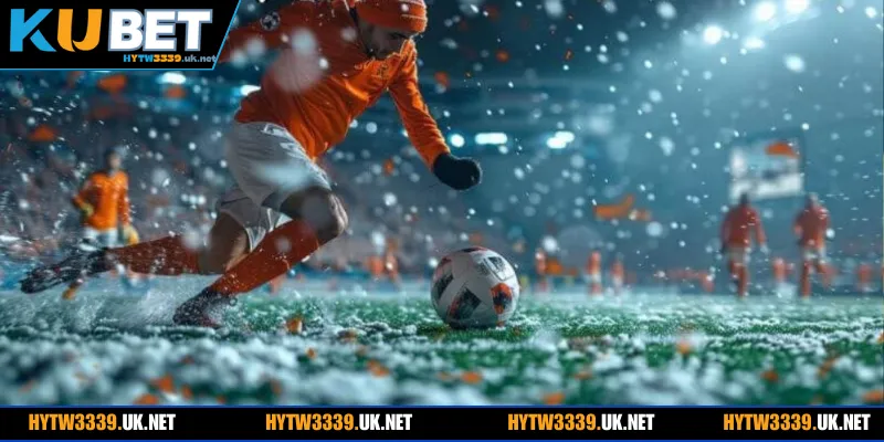 Top bộ môn thể thao quốc tế không nên bỏ lỡ năm 2026